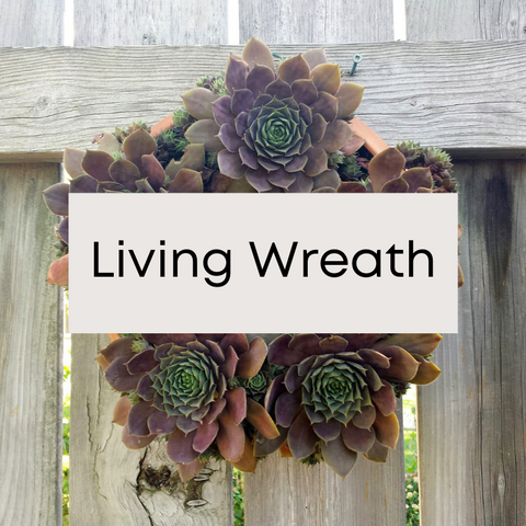 Living Wreath