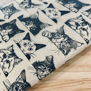 Zany Cats - Underglaze Transfer Sheet by Elan Pottery