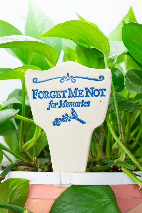 Forget Me Not for Memories - Amaranth Stoneware Canada