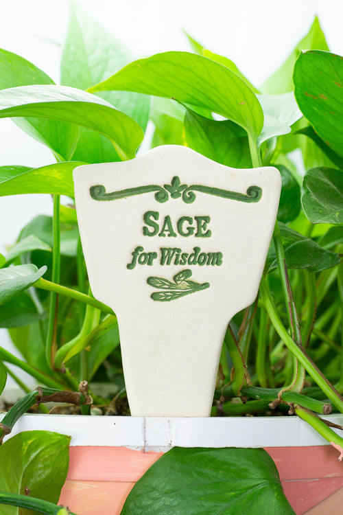 Sage for Wisdom - Amaranth Stoneware Canada