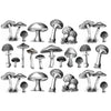 Mushrooms - Underglaze Transfer - Amaranth Stoneware Canada