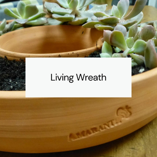 Living Wreaths - Amaranth Stoneware Canada