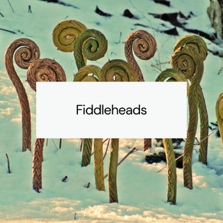 Fiddleheads - Amaranth Stoneware Canada