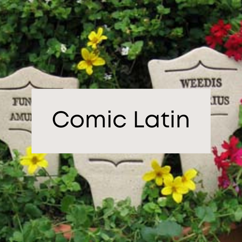 Comic Latin
