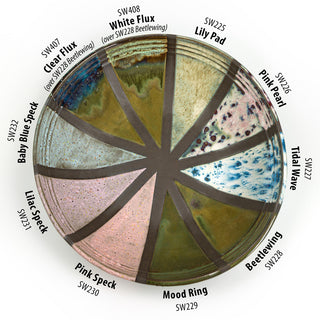 NEW 2026 Glaze Sample Set by Mayco (10x4oz)