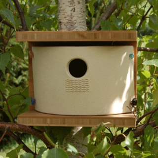 Willow Nest Box