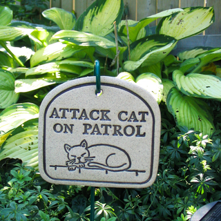 Attack Cat On Patrol - Amaranth Stoneware Canada