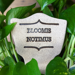 7.5x3-inch handcrafted Comic Latin plant stakes, perfect for witty plant labels. Durable, weatherproof, and fun! Handcrafted in Kingston, Ontario at Amaranth Stoneware.