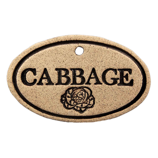 Cabbage - Amaranth Stoneware Canada