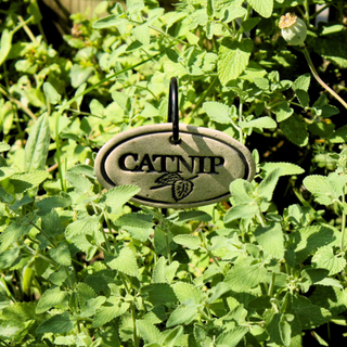 Garden Markers: white stoneware, 3.5"x2.25", weatherproof, rustproof hanger included. Unique leaf design. Handcrafted in Kingston, Ontario at Amaranth Stoneware.