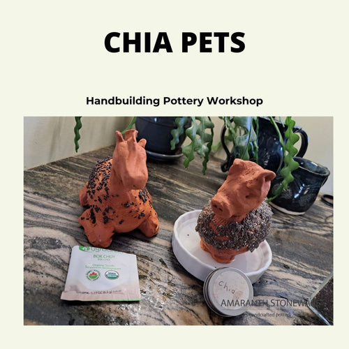 Chia Pets - Handbuilding Workshop