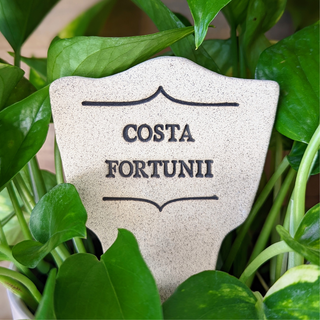 7.5x3-inch handcrafted Comic Latin plant stakes, perfect for witty plant labels. Durable, weatherproof, and fun! Handcrafted in Kingston, Ontario at Amaranth Stoneware.