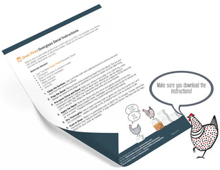 Elan Transfers Application Instructions PDF