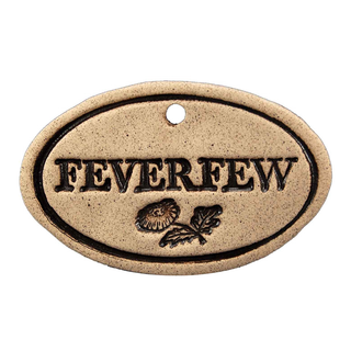 Feverfew - Amaranth Stoneware Canada