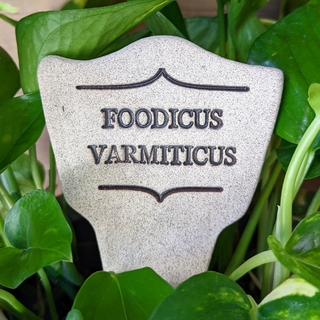 7.5x3-inch handcrafted Comic Latin plant stakes, perfect for witty plant labels. Durable, weatherproof, and fun! Handcrafted in Kingston, Ontario at Amaranth Stoneware.