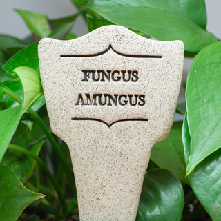 7.5x3-inch handcrafted Comic Latin plant stakes, perfect for witty plant labels. Durable, weatherproof, and fun! Handcrafted in Kingston, Ontario at Amaranth Stoneware.