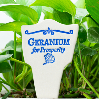 Geranium for Prosperity