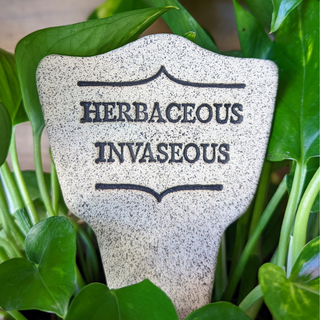 Herbaceous Invaseous