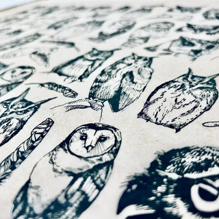 Owls - Underglaze Transfer Sheet by Elan Pottery