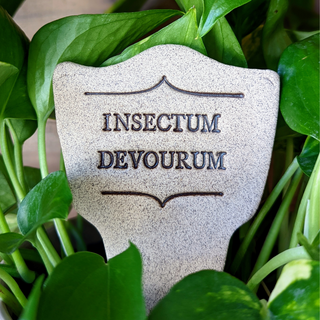 Insectum Devourum