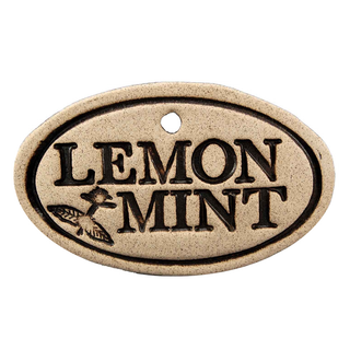 Lemon Mint- Amaranth Stoneware Canada