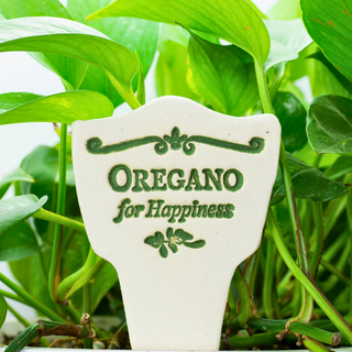 Oregano for Happiness