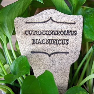 Outofcontrollus Magnificus