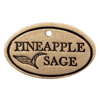 Pineapple Sage - Amaranth Stoneware Canada