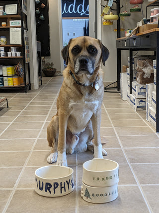 Pet Bowls - Handbuilding Workshop - Amaranth Stoneware Canada