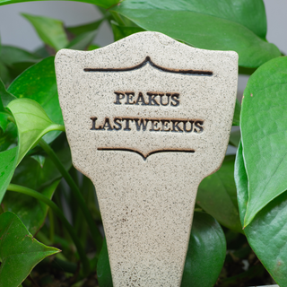 7.5x3-inch handcrafted Comic Latin plant stakes, perfect for witty plant labels. Durable, weatherproof, and fun! Handcrafted in Kingston, Ontario at Amaranth Stoneware.