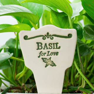 Basil for Love. Handcrafted 7.5x3-inch Garden Lore stoneware celebrates the timeless legends of plants. Weatherproof and full of charm! Handcrafted in Kingston, Ontario at Amaranth Stoneware.