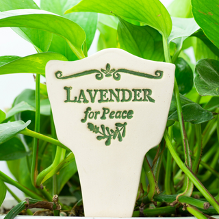 Lavender for peace. Handcrafted 7.5x3-inch Garden Lore stoneware celebrates the timeless legends of plants. Weatherproof and full of charm! Handcrafted in Kingston, Ontario at Amaranth Stoneware.