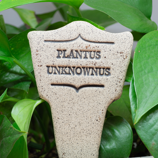 7.5x3-inch handcrafted Comic Latin plant stakes, perfect for witty plant labels. Durable, weatherproof, and fun! Handcrafted in Kingston, Ontario at Amaranth Stoneware.