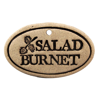 Salad Burnet - Amaranth Stoneware Canada