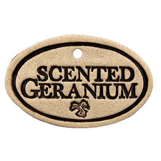 Scented Geranium - Amaranth Stoneware Canada