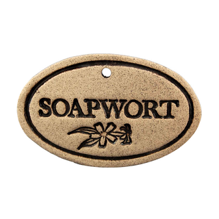 Soapwort - Amaranth Stoneware Canada