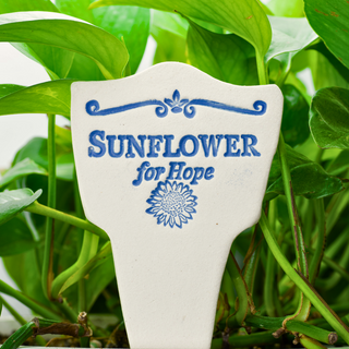 Sunflower for Hope