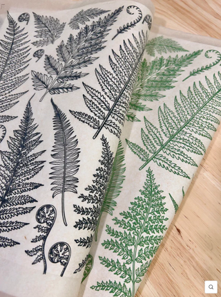 Jungle Ferns - Underglaze Transfer Sheet by Elan Pottery