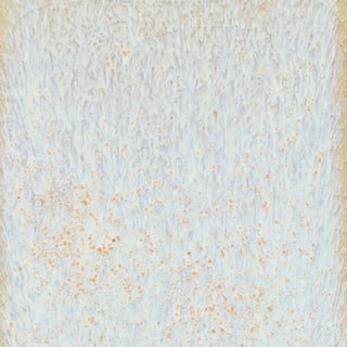 Star Dust by Coyote MGB222