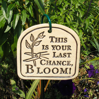 This Is Your Last Chance, Bloom! - Amaranth Stoneware Canada