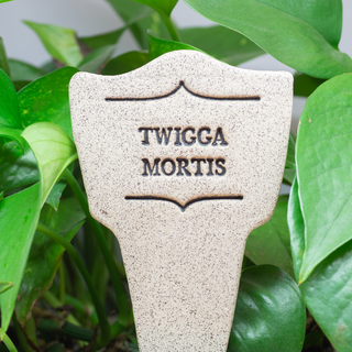 Twigga Mortis