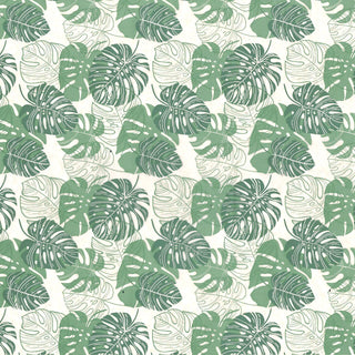 Monstera Oasis - Underglaze Transfer