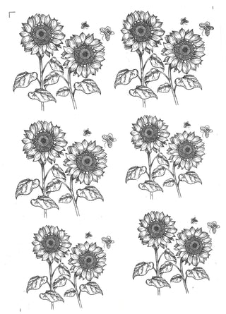 Sunflower (Large) - Underglaze Transfer