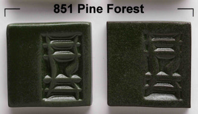 851 Pine Forest Enviro-Colour by Opulence - Amaranth Stoneware Canada
