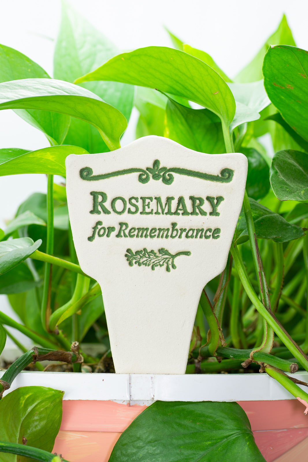 Rosemary for Remembrance - Amaranth Stoneware Canada