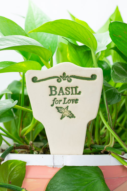 Basil for Love - Amaranth Stoneware Canada