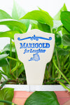 Marigold for Laughter - Amaranth Stoneware Canada