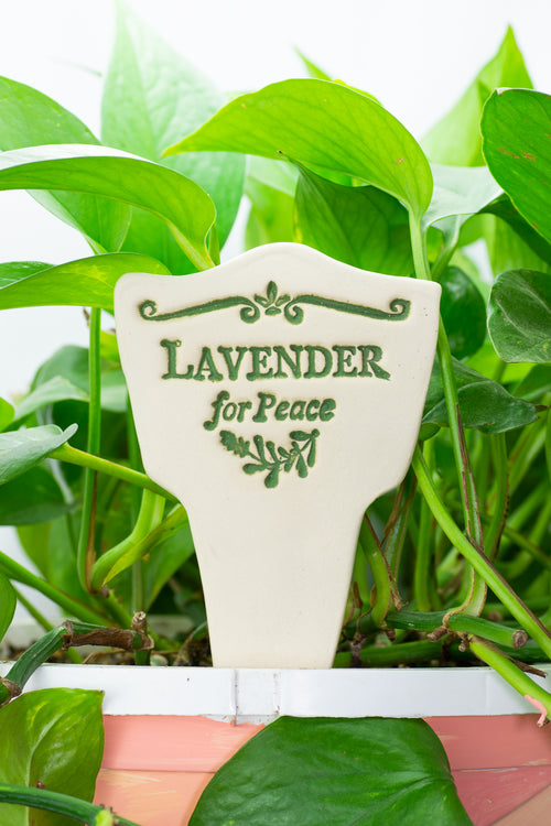 Lavender for Peace - Amaranth Stoneware Canada
