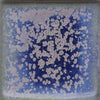 Blue Purple Glaze by Coyote - Amaranth Stoneware Canada