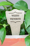 Weedis Victorious